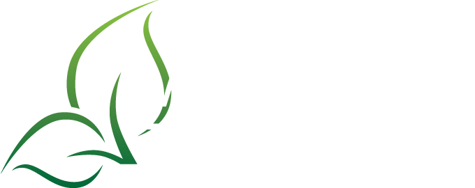 Logo Martin Twaalfhoveniers